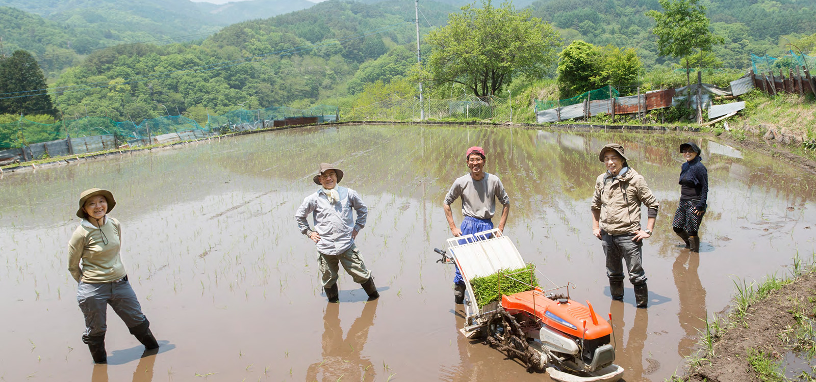 株式会社セーブ ソフトウェア開発 山形県鶴岡市